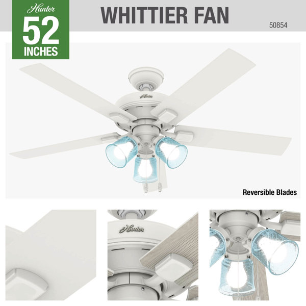 Hunter Fan 52'' Whittier 5 - Blade Standard Ceiling Fan with Pull Chain